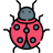 biedronki