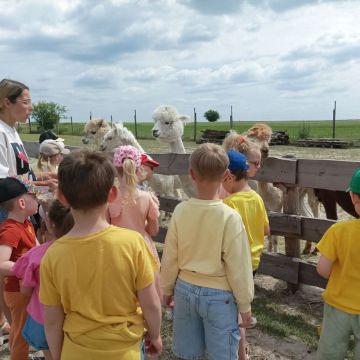 Wycieczka do Farmy TuluTulu – Mini ZOO w Koniecznie