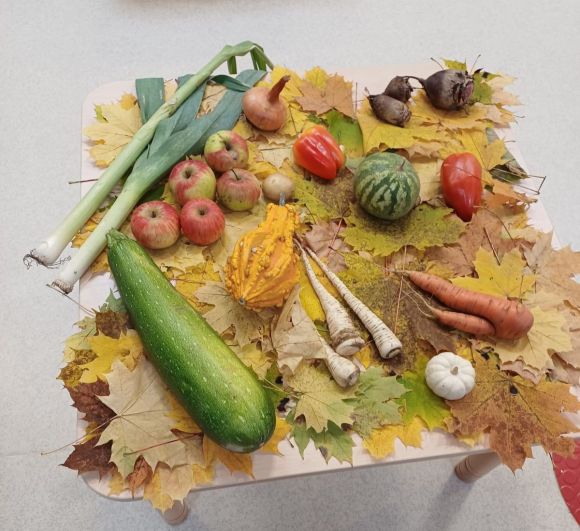 Zajęcia sensoryczno – motoryczne „Warzywa i owoce”